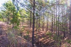 property photo for Stone Bridge Reserve Tract 4, 8.2 acres for sale in LatimerHaskell County, Oklahoma