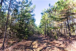 property photo for Stone Bridge Reserve Tract 5, 4.5 acres for sale in LatimerHaskell County, Oklahoma