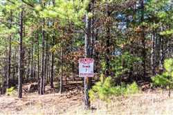 property photo for Stone Bridge Reserve Tract 7, 3.89 acres for sale in LatimerHaskell County, Oklahoma