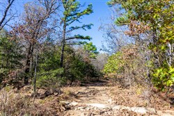 property photo for Stone Bridge Reserve Tract 8, 6.55 acres for sale in LatimerHaskell County, Oklahoma
