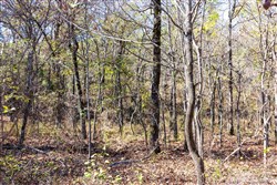 property photo for Stone Bridge Reserve Tract 8, 6.55 acres for sale in LatimerHaskell County, Oklahoma