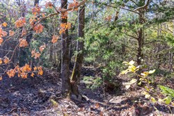property photo for Stone Bridge Reserve Tract 8, 6.55 acres for sale in LatimerHaskell County, Oklahoma