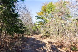 property photo for Stone Bridge Reserve Tract 8, 6.55 acres for sale in LatimerHaskell County, Oklahoma