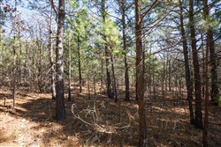 property photo for Stone Bridge Phase II Tract 102, 15.77 acres for sale in LatimerHaskell County, Oklahoma