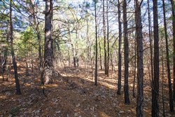 property photo for Stone Bridge Phase II Tract 102, 15.77 acres for sale in LatimerHaskell County, Oklahoma
