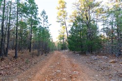 property photo for Stone Bridge Phase II Tract 116, 12.64 acres for sale in LatimerHaskell County, Oklahoma