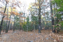 property photo for Stone Bridge Phase II Tract 116, 12.64 acres for sale in LatimerHaskell County, Oklahoma