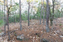 property photo for Stone Bridge Phase II Tract 116, 12.64 acres for sale in LatimerHaskell County, Oklahoma