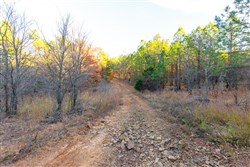 property photo for Stone Bridge Phase II Tract 119, 14.84 acres for sale in LatimerHaskell County, Oklahoma