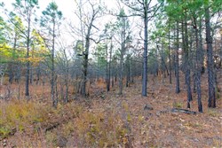 property photo for Stone Bridge Phase II Tract 119, 14.84 acres for sale in LatimerHaskell County, Oklahoma