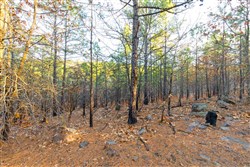 property photo for Stone Bridge Phase II Tract 119, 14.84 acres for sale in LatimerHaskell County, Oklahoma
