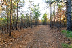property photo for Stone Bridge Phase II Tract 119, 14.84 acres for sale in LatimerHaskell County, Oklahoma