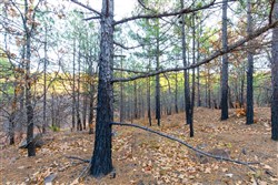 property photo for Stone Bridge Phase II Tract 119, 14.84 acres for sale in LatimerHaskell County, Oklahoma