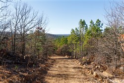 property photo for Stone Bridge Phase II Tract 125, 24.05 acres for sale in LatimerHaskell County, Oklahoma