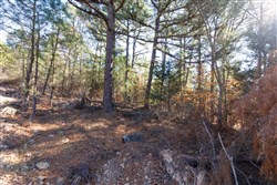 property photo for Stone Bridge Phase II Tract 125, 24.05 acres for sale in LatimerHaskell County, Oklahoma