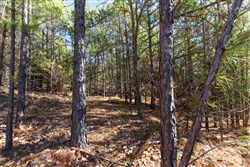 property photo for Stone Bridge Phase II Tract 125, 24.05 acres for sale in LatimerHaskell County, Oklahoma