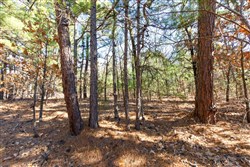 property photo for Stone Bridge Phase II Tract 125, 24.05 acres for sale in LatimerHaskell County, Oklahoma