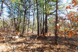 property photo for Stone Bridge Phase II Tract 125, 24.05 acres for sale in LatimerHaskell County, Oklahoma