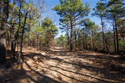 property photo for Stone Bridge Phase II Tract 97, 15.88 acres for sale in LatimerHaskell County, Oklahoma