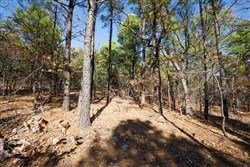 property photo for Stone Bridge Phase II Tract 97, 15.88 acres for sale in LatimerHaskell County, Oklahoma