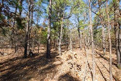 property photo for Stone Bridge Phase II Tract 97, 15.88 acres for sale in LatimerHaskell County, Oklahoma