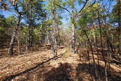 property photo for Stone Bridge Phase II Tract 97, 15.88 acres for sale in LatimerHaskell County, Oklahoma