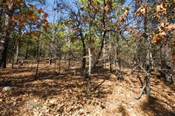 property photo for Stone Bridge Phase II Tract 97, 15.88 acres for sale in LatimerHaskell County, Oklahoma