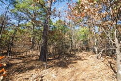 property photo for Stone Bridge Phase II Tract 97, 15.88 acres for sale in LatimerHaskell County, Oklahoma