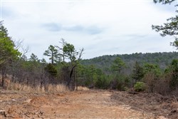 property photo for Stone Bridge Phase III Tract 137, 4.86 acres for sale in LatimerHaskell County, Oklahoma