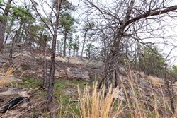 property photo for Stone Bridge Phase III Tract 137, 4.86 acres for sale in LatimerHaskell County, Oklahoma