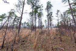 property photo for Stone Bridge Phase III Tract 137, 4.86 acres for sale in LatimerHaskell County, Oklahoma