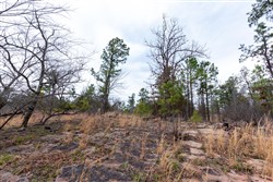 property photo for Stone Bridge Phase III Tract 138, 5.72 acres for sale in LatimerHaskell County, Oklahoma