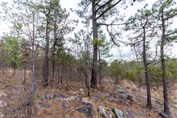 property photo for Stone Bridge Phase III Tract 138, 5.72 acres for sale in LatimerHaskell County, Oklahoma