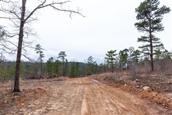 property photo for Stone Bridge Phase III Tract 138, 5.72 acres for sale in LatimerHaskell County, Oklahoma