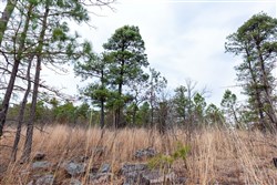 property photo for Stone Bridge Phase III Tract 139, 6.82 acres for sale in LatimerHaskell County, Oklahoma