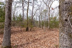property photo for Stone Bridge Phase III Tract 149, 5.89 acres for sale in LatimerHaskell County, Oklahoma