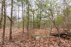 property photo for Stone Bridge Phase III Tract 149, 5.89 acres for sale in LatimerHaskell County, Oklahoma