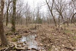 property photo for Stone Bridge Phase III Tract 158, 6.03 acres for sale in LatimerHaskell County, Oklahoma