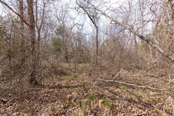 property photo for Stone Bridge Phase III Tract 158, 6.03 acres for sale in LatimerHaskell County, Oklahoma