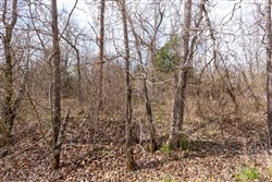 property photo for Stone Bridge Phase III Tract 158, 6.03 acres for sale in LatimerHaskell County, Oklahoma