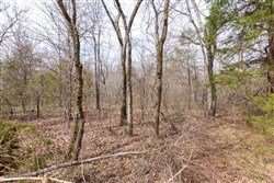 property photo for Stone Bridge Phase III Tract 158, 6.03 acres for sale in LatimerHaskell County, Oklahoma