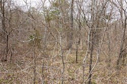 property photo for Stone Bridge Phase III Tract 159, 4.85 acres for sale in LatimerHaskell County, Oklahoma