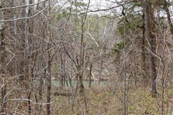 property photo for Stone Bridge Phase III Tract 159, 4.85 acres for sale in LatimerHaskell County, Oklahoma