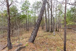 property photo for Stone Bridge Phase III Tract 176, 11.33 acres for sale in LatimerHaskell County, Oklahoma