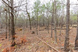 property photo for Stone Bridge Phase III Tract 176, 11.33 acres for sale in LatimerHaskell County, Oklahoma