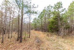 property photo for Stone Bridge Phase III Tract 176, 11.33 acres for sale in LatimerHaskell County, Oklahoma