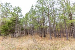 property photo for Stone Bridge Phase III Tract 176, 11.33 acres for sale in LatimerHaskell County, Oklahoma