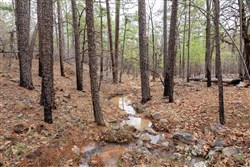 property photo for Stone Bridge Phase III Tract 196, 19.43 acres for sale in LatimerHaskell County, Oklahoma