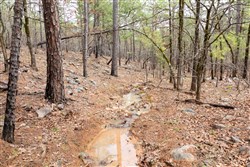 property photo for Stone Bridge Phase III Tract 196, 19.43 acres for sale in LatimerHaskell County, Oklahoma