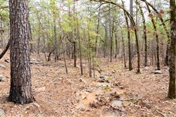 property photo for Stone Bridge Phase III Tract 196, 19.43 acres for sale in LatimerHaskell County, Oklahoma